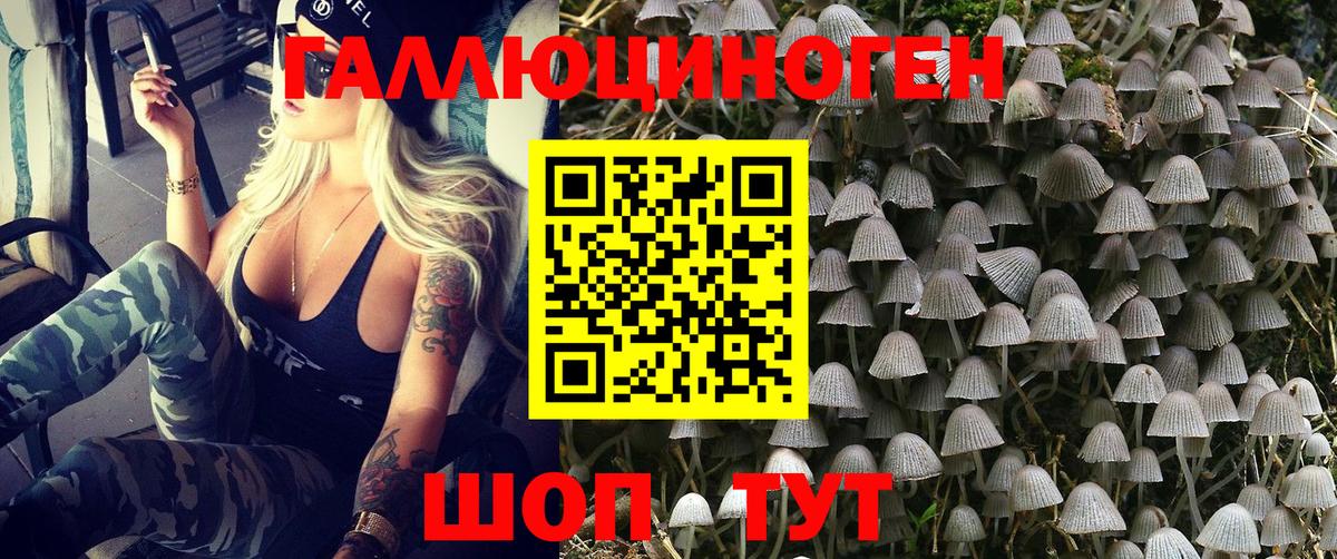Псилоцибиновые грибы ЛСД Усть-Джегута